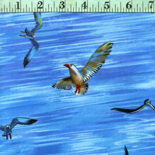 Michael Miller: Seagulls